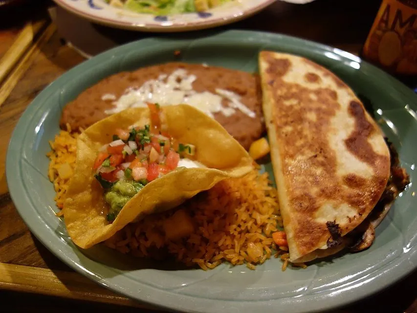 Crispy Chicken Quesadilla