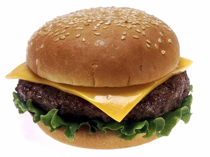Double Double Smash Burger