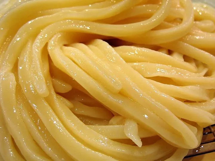 Signature Kake Udon